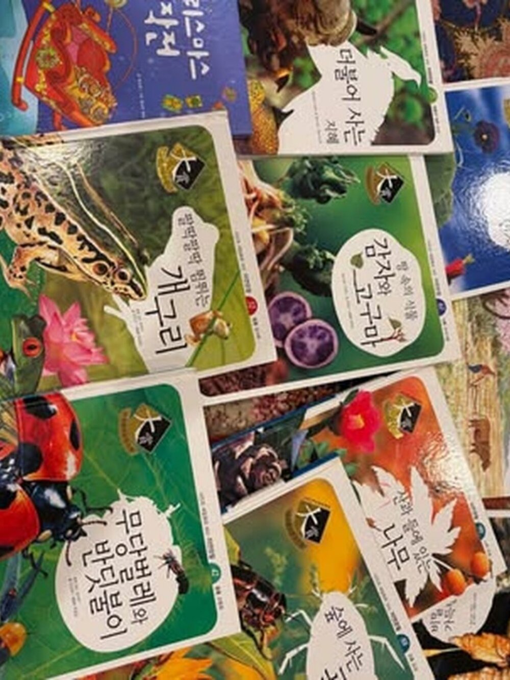 Korean Children's Educational Book Lot (64 books)